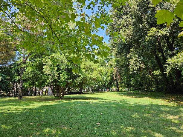 istock All green in Caserta's garden 1747081885