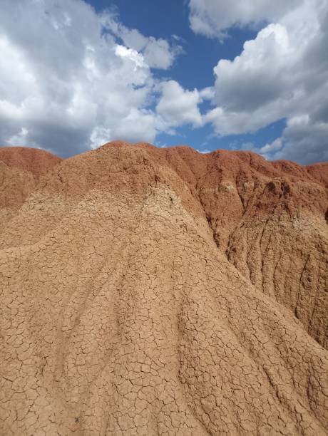 istock Tatacoa tropical dry forest 1747159767