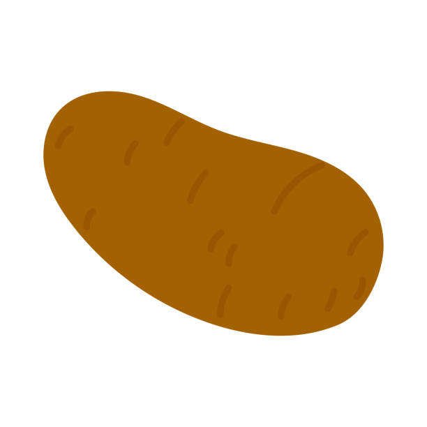 ilustraciones, imágenes clip art, dibujos animados e iconos de stock de ilustración de patata marrón - raw potato clean red red potato