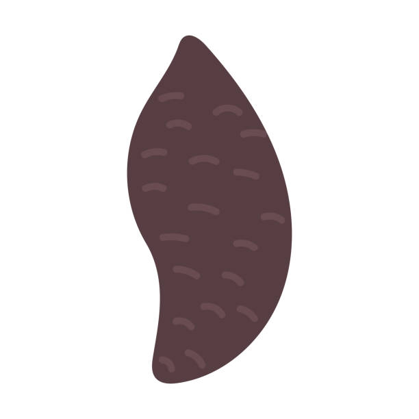 ilustraciones, imágenes clip art, dibujos animados e iconos de stock de ilustración de camote púrpura - raw potato clean red red potato