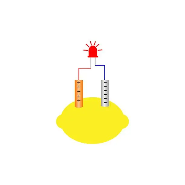 Vector illustration of Lemon battery experiment. Vector illustration.