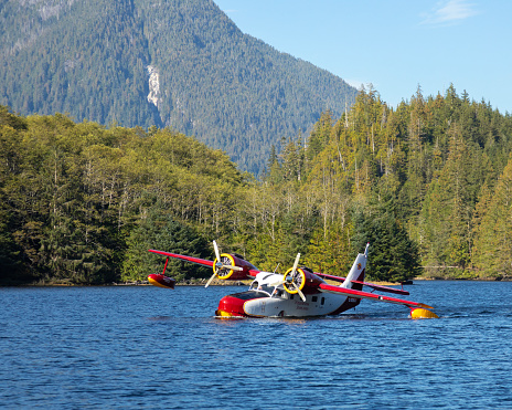 A Wilderness Seaplanes Grumman G21A Goose amphibious flying boat, (built in 1942) floating on Smith Inlet as it waits to disembark its passengers. Great Bear Rainforest, British Columbia, Canada. Evidence of a landslide can be seen in the forested mountain in the background.