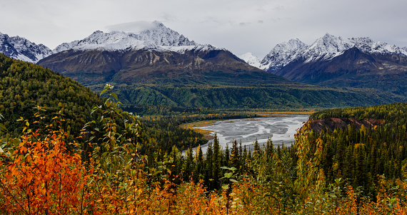 Peak foliage in Wrangell St. Elias National Park makes for a colorful scene.