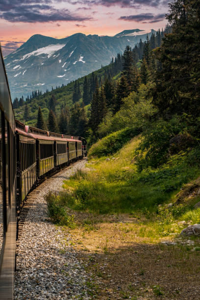 istock White Pass Summit excursion tour train in the mountains, Alaska, USA. 1747313714