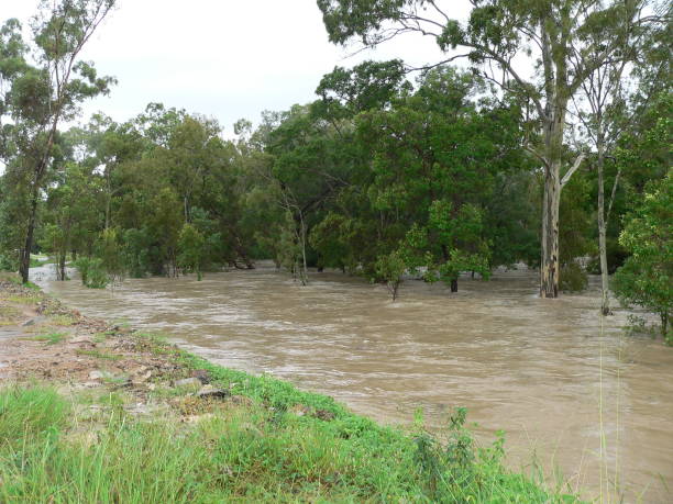 Australian bushland after a great deal of rainfall in rural Queensland