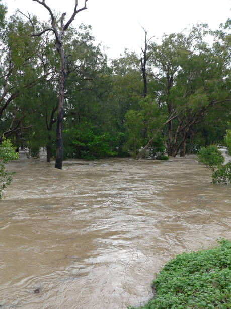 istock Rushing flood water through a creek with trees after a storm 1747403573