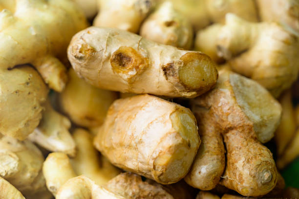 istock Fresh ginger is a organic ingredient used in Thai cooking 1747430239