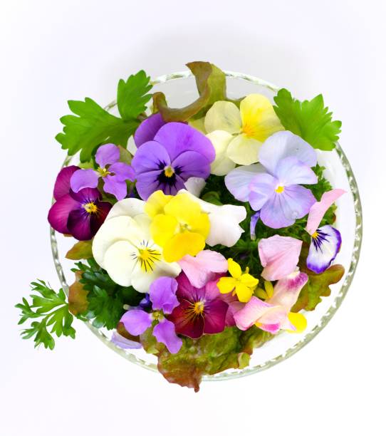 istock edible flowers in a plate. 1747446759