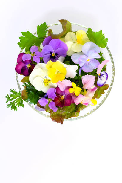istock edible flowers in a plate. 1747446762