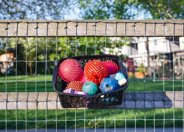 Many different dog toys to share, take and exchange. Neighborhood sharing and recycling for dogs. Selective focus.