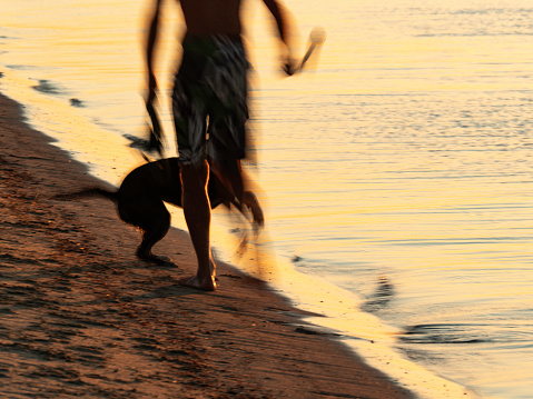 Blurred movement of person running on the beach with dog