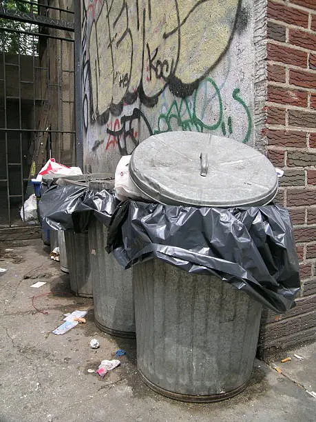Photo of Alley of trash cans