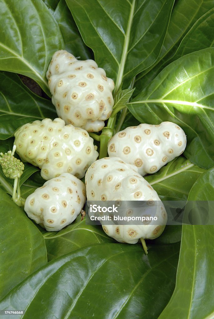 Noni frutta - Foto stock royalty-free di Noni