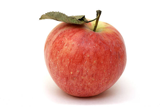 Apple – zdjęcie