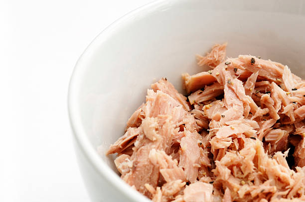 istock Flaked tuna fish in bowl 174746721