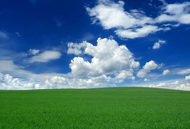 Blue sky, clouds and green field summer abstract background