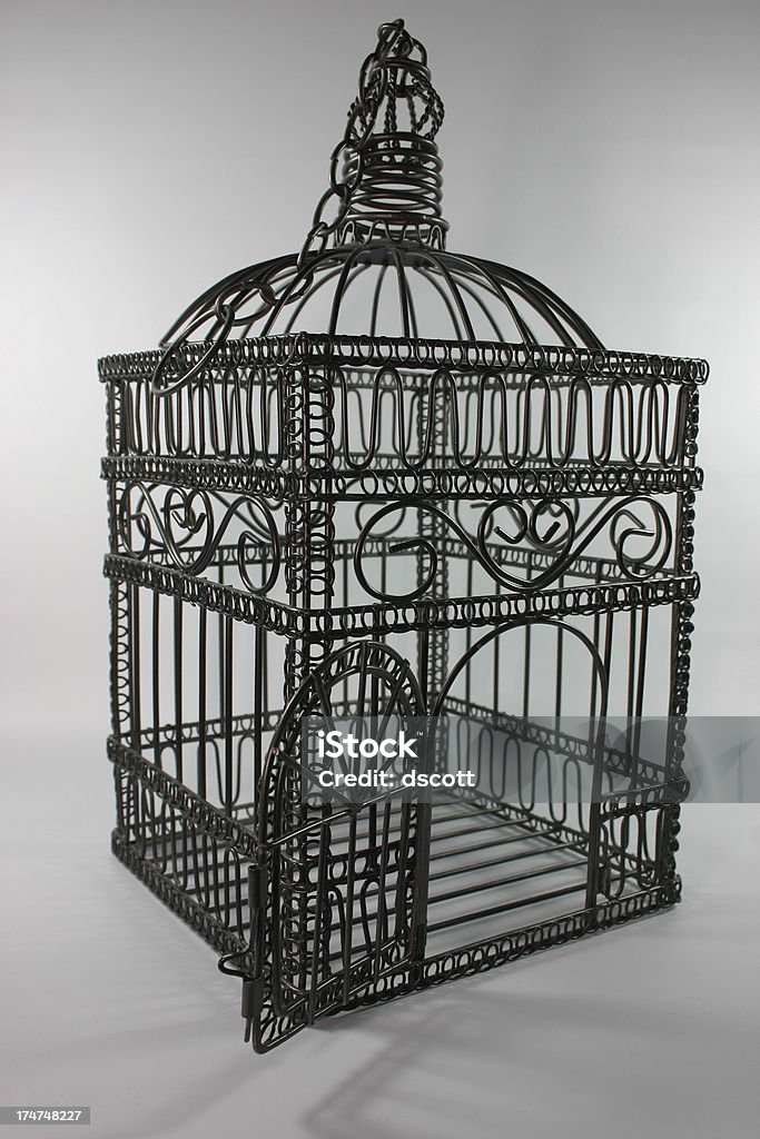 Bird jaula de - Foto de stock de Jaula libre de derechos