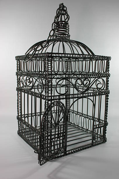 Bird Cage stock photo