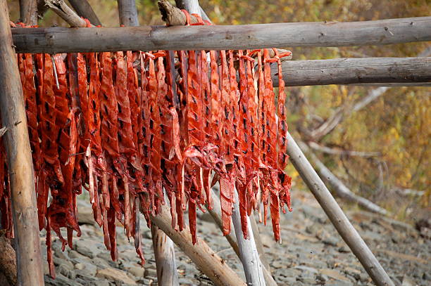 Drying Salmon Salmon drying on Alaskan beach sockeye salmon filet stock pictures, royalty-free photos & images