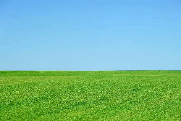istock Grassy slope and blue sky, horizontal. 174748560