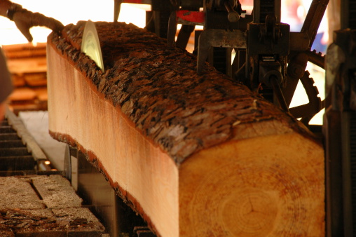 An old fashioned saw mill cuts a log into useful lumber.