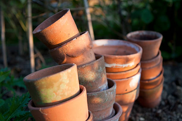 Stacks of old Victorian terracotta pots in dappled evening sun on veg patch.