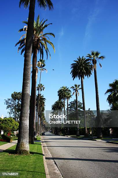 Ulica Usłąnej Palmami W Beverly Hills - zdjęcia stockowe i więcej obrazów Wzgórze - Wzgórze, Hollywood - Stan Kalifornia, Palma