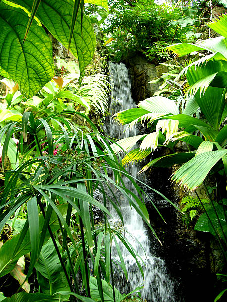 Beautiful waterfall and palms in the sun