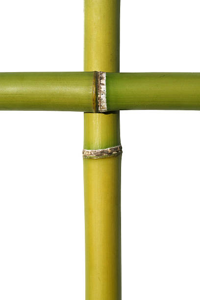 bambù crocifisso frame - christianity bamboo japan cross foto e immagini stock