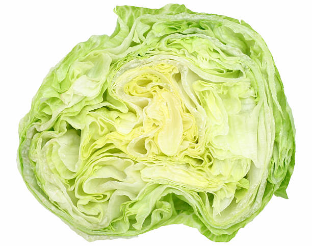 Cross-section of an iceberg lettuce head stock photo