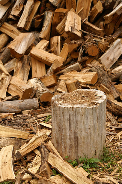 Firewood 2 stock photo