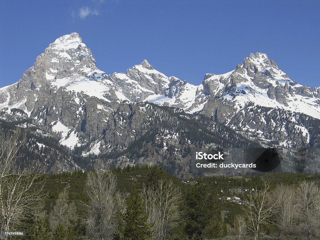 Góra Grand Teton Zakres poziomej - Zbiór zdjęć royalty-free (Ameryka)