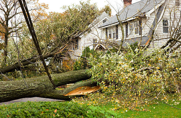 Hurricane Damaged Homes Hurricane Damaged Homes by Fallen Trees and Power Lines. Insurance Claim Concepts. damaged stock pictures, royalty-free photos & images