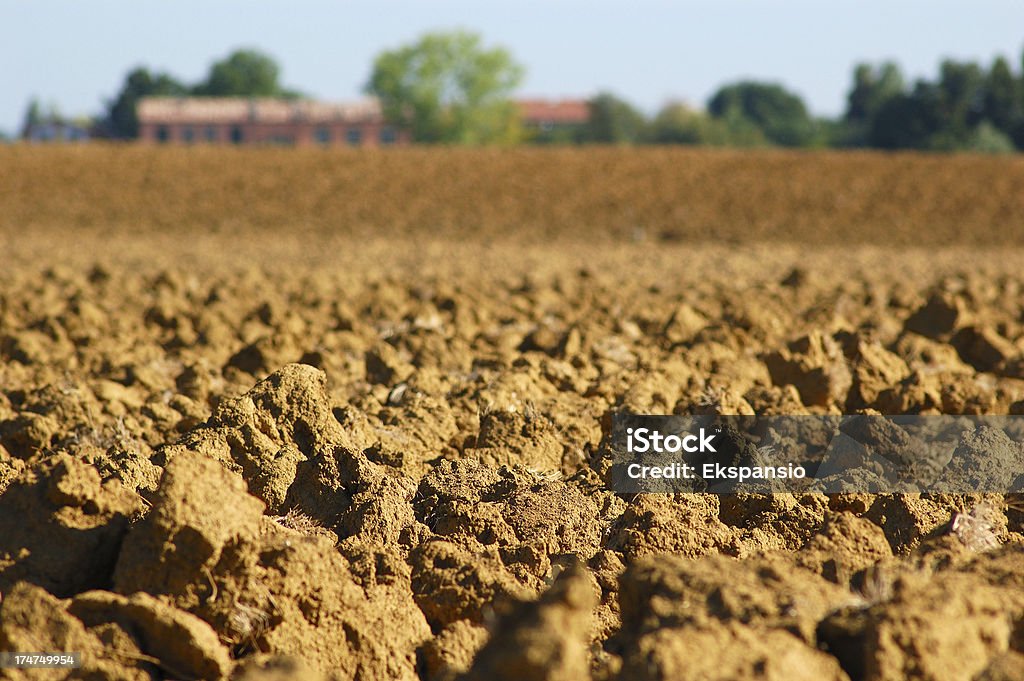 Farm - Foto stock royalty-free di Agricoltura