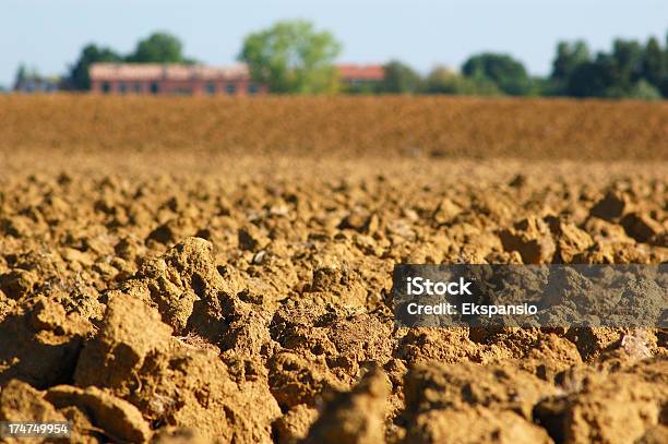Farm - Fotografie stock e altre immagini di Agricoltura - Agricoltura, Ambientazione esterna, Campo