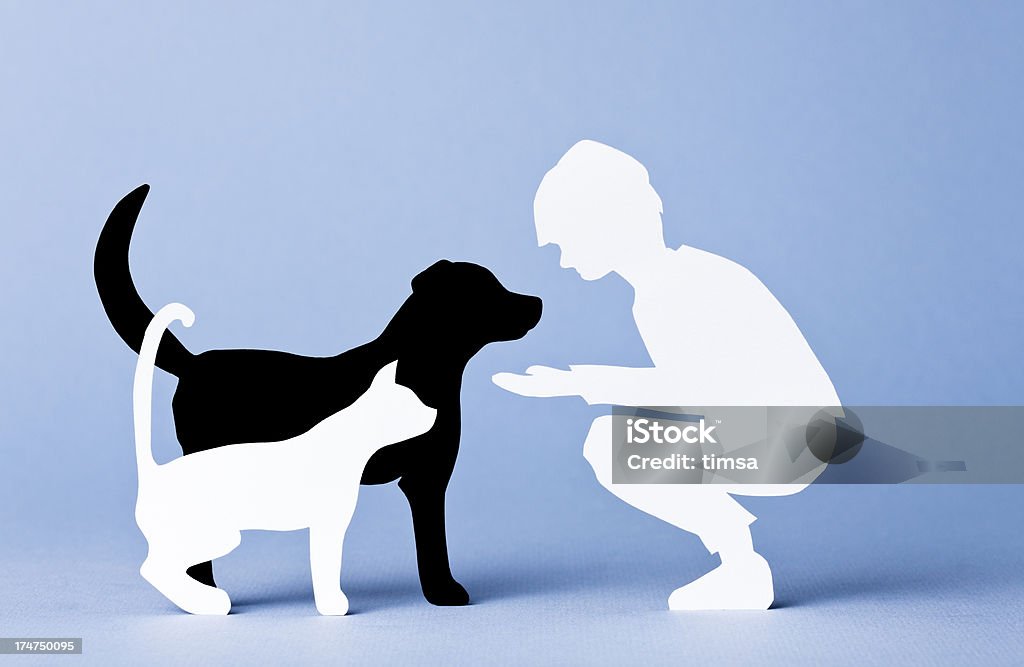Собака и кошка, взаимодействующего с ребенком документе концепции - Стоковые фото Домашняя кошка роялти-фри