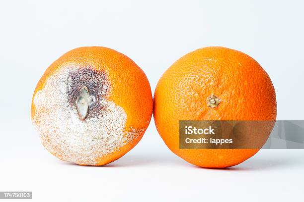 Foto de Molde e mais fotos de stock de Apodrecer - Apodrecer, Fotografia - Imagem, Fruta