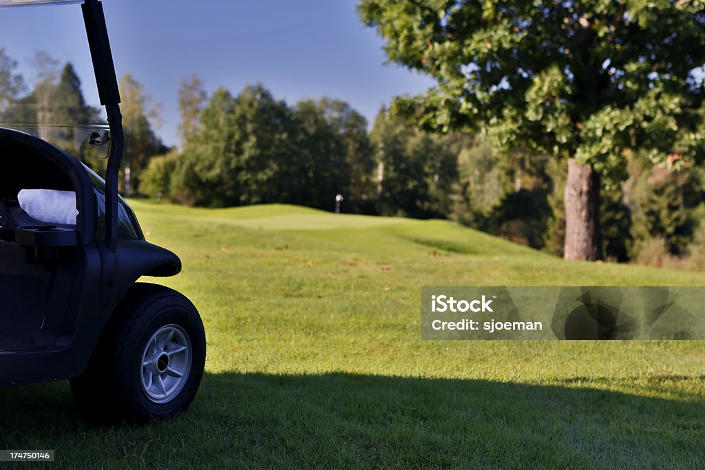 Golfcart in corso - Foto stock royalty-free di Albero