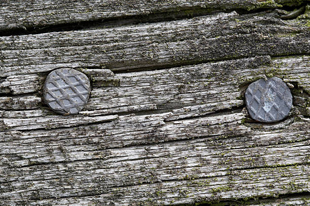Two nails in a old aged gray plank stock photo