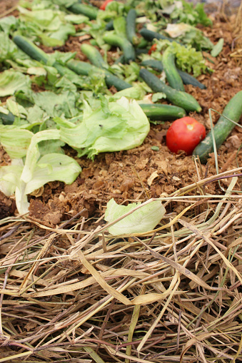 Organic waste, food waste, such as peels, stalks, leaves and leftovers, from fruits and vegetables, on the composting windrow of a compost bin for the production of fertilizer.