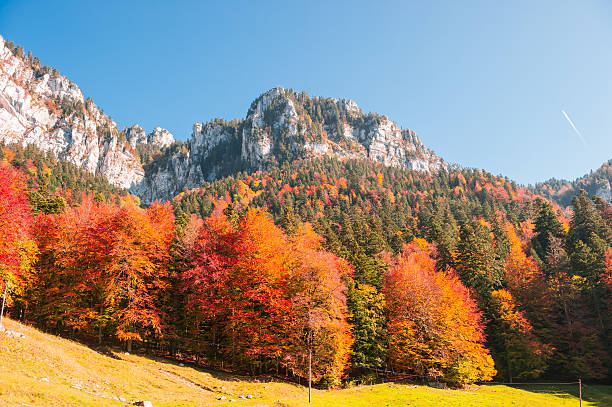 Autumn in the mountains
