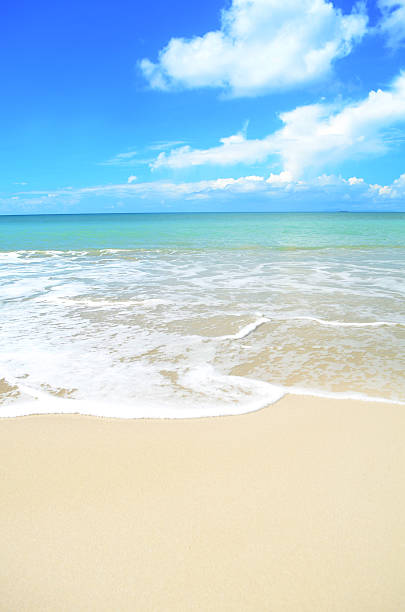 istock idyllic beach and summer paradise 174751200