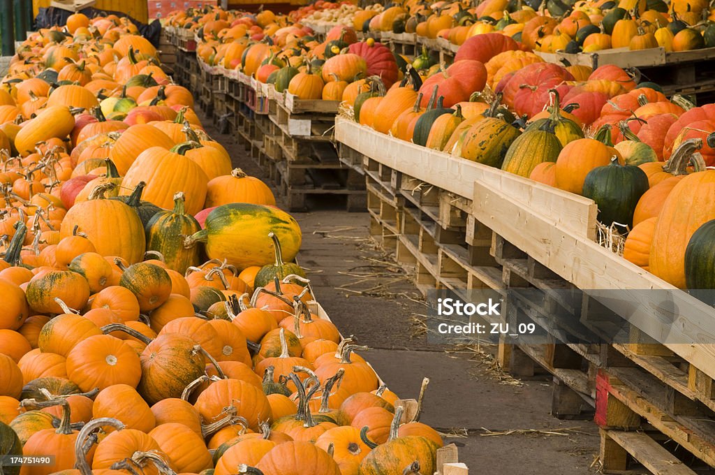 Pumpkins - Foto stock royalty-free di Arancione