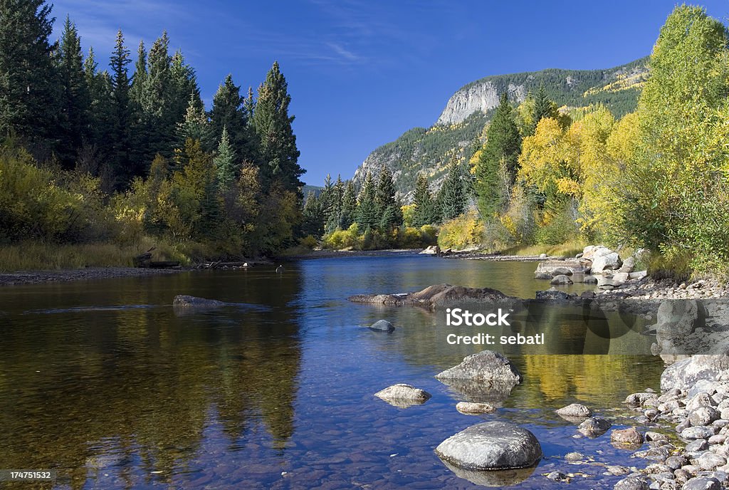 Pamięć podręczną la poudre river w Rustykalny, Kolorado - Zbiór zdjęć royalty-free (Rzeka)