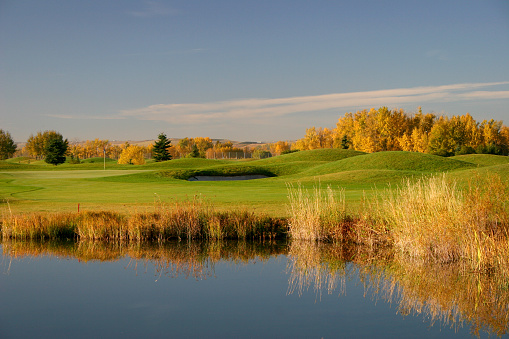 A beautiful golf course in the fall in Calgary, Alberta, Canada. Beautiful fall colour. Lings golf course. Image is of a public golf course in a rural, prairie setting. Unrecognizable golf course. Turf condition is excellent and sand trap and fairway as well as the green are in plain view. Nobody is in the image. 