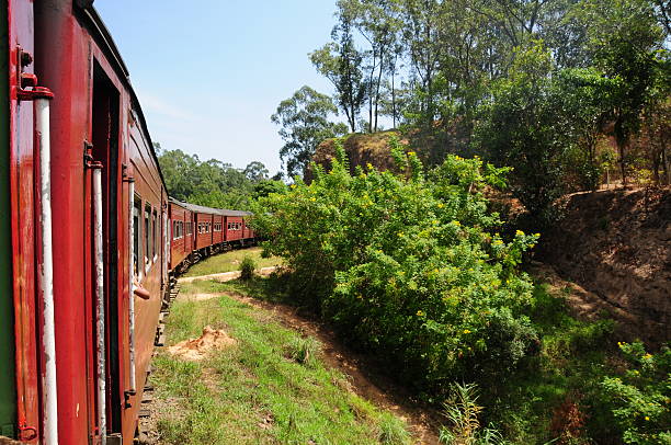 istock Hill country, Sri Lanka. 174752275