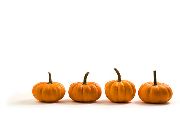 istock Pumpkin Squash Row, Autumn Decoration Vegetable Isolated on White Background 174753225