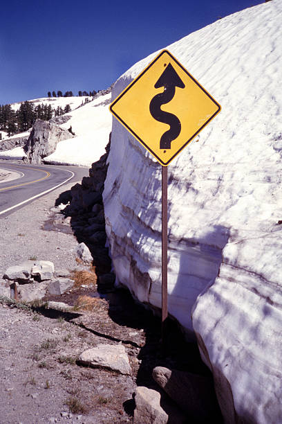 istock Road sign of curvy road. 174753374