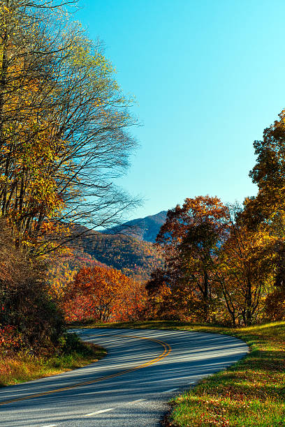 blue ridge parkway, carolina del nord, stati uniti - blue ridge mountains autumn great smoky mountains tree foto e immagini stock