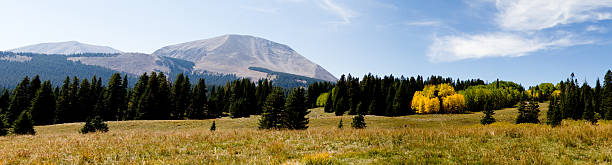 istock Moab Utah Mountain Bike Trail 174753581
